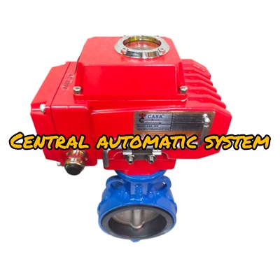 Electric Actuator / Motorize Valve CASA Type CAS 10E C/W Butterfly 4