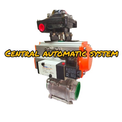 Pneumatic CASA Type CS75D+ball Valve 3pc 2